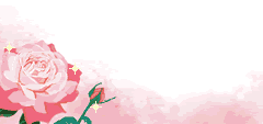 dt_reijin_i311_02.gif