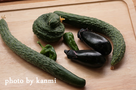 家庭菜園野菜