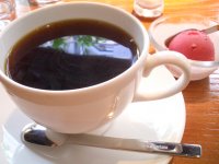 Today's Coffee and Petit Sorbet