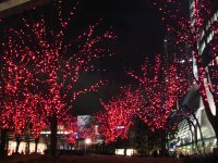 Red Illuminations @ Roppongi Hills