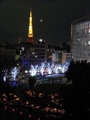 Tokyo Tower View from Roppong Hills