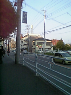 080429_171737_M.jpg