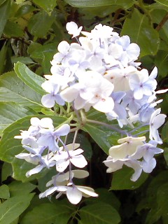 P2008_0813_150523.JPG