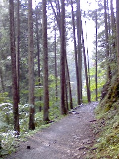 P2008_0813_150559.JPG