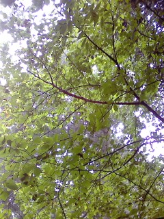 P2008_0813_150932.JPG