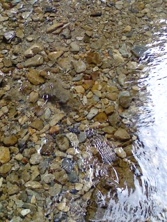 P2008_0813_151250.JPG