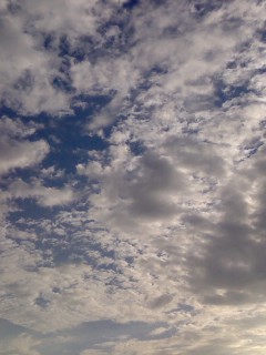 P2008_0831_171804.JPG