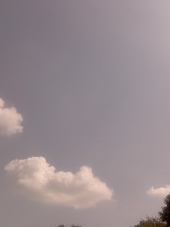 P2008_0914_123306.JPG