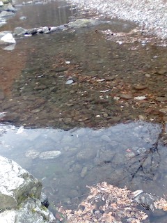 P2008_1124_065039.JPG