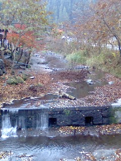P2008_1124_065720.JPG