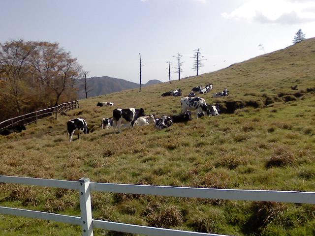 P2009_1019_112644.JPG