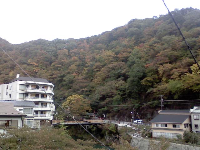 P2009_1018_162837.JPG