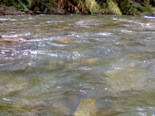 P2010_0612_131232.JPG