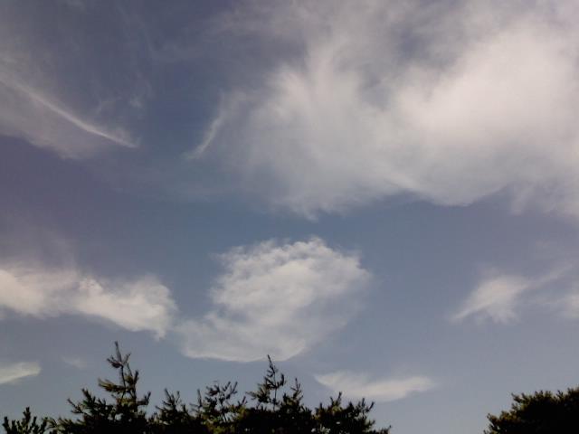 P2010_0808_155416.JPG