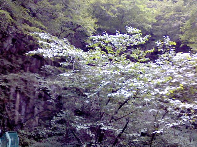 P2010_0920_153049.JPG