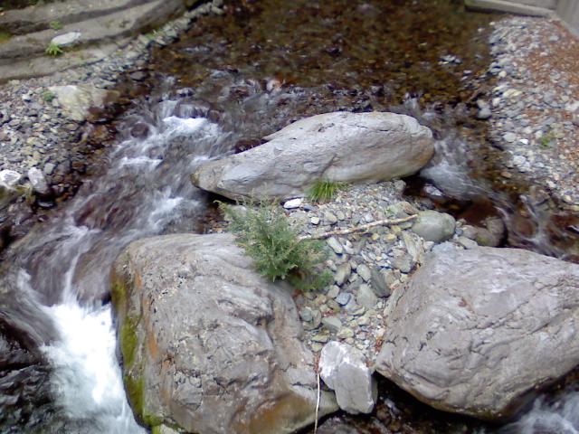 P2010_0920_153115.JPG