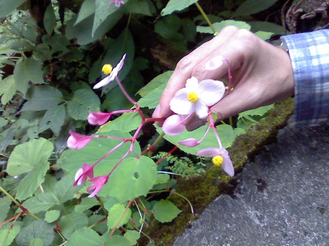 P2010_0920_162134.JPG