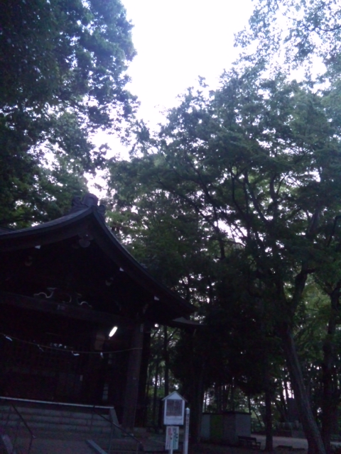 130525_173546.jpg