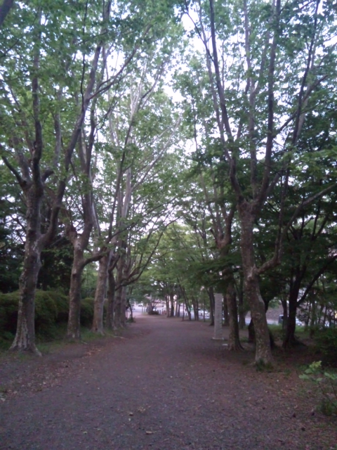 130525_173808.jpg