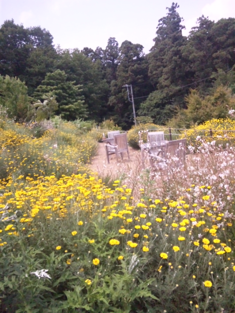 130609_131042.jpg