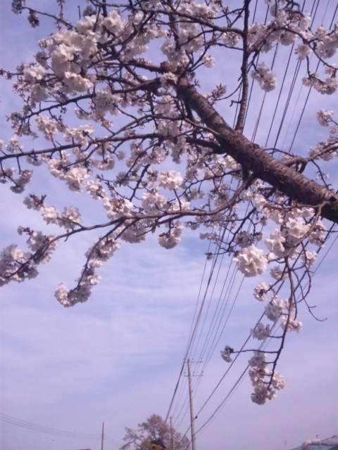 140407_162901.jpg