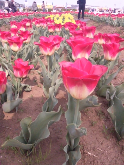 140417_141427.jpg