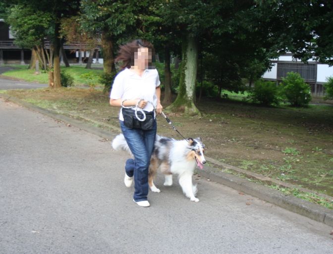 レッスン3−2