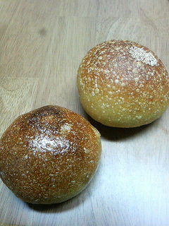 201101161826000.jpg