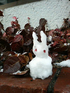 201101161530000.jpg