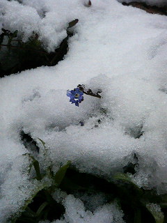 201103071306002.jpg