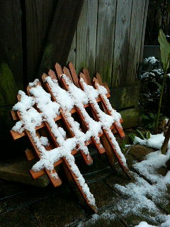 201103071306000.jpg