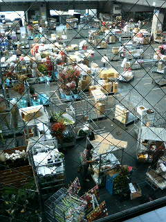201110120955000.jpg