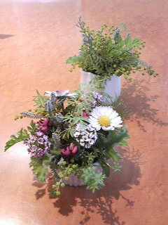 201302101351001.jpg