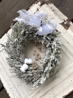 ホワイトクリスマスリース コットン シロタエギク ホワイトリース