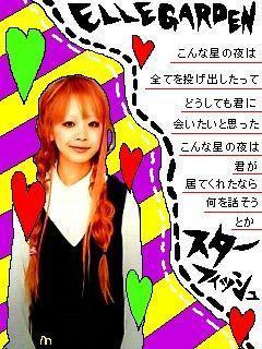 スターフィッシュ Elle Crazy 3