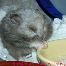 ミルクうま〜