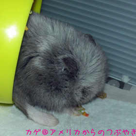 休憩チュウ