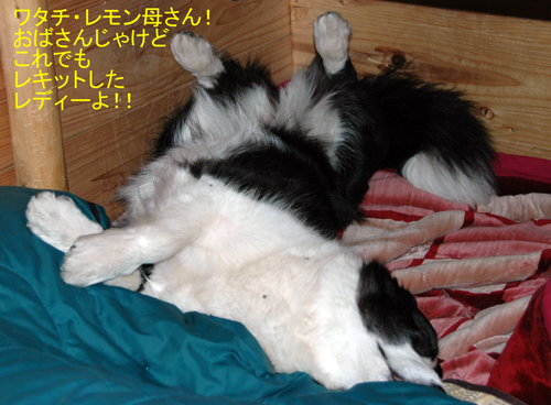 レモン