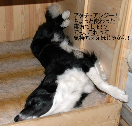 アンジー