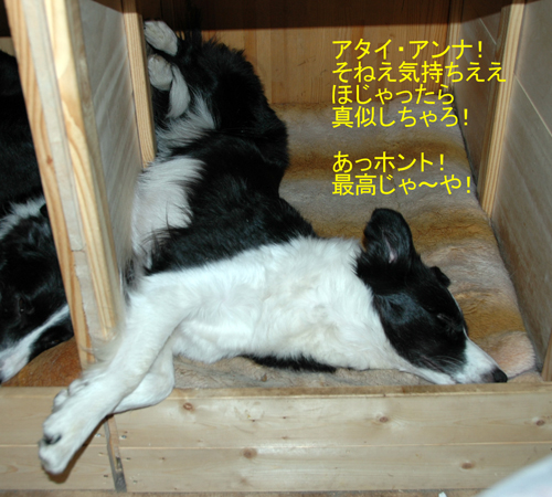 アンナ