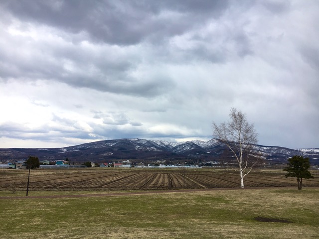 残雪残る音江の山々