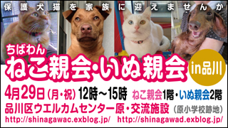 nekoinuoyakai20130429_320x180.jpg