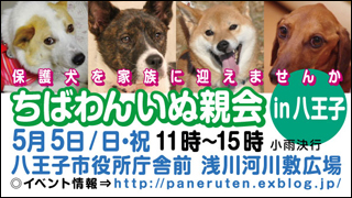 hachiouji20130505_320x180.jpg