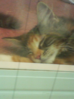 20060820_137501.jpg