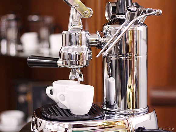 pavoni