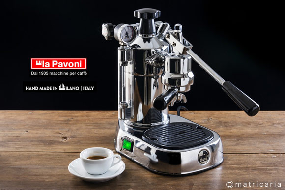 Pavoni matricaria