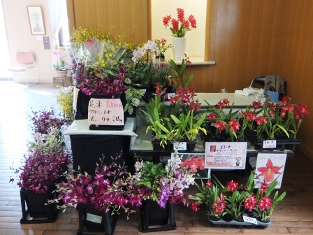 蘭展