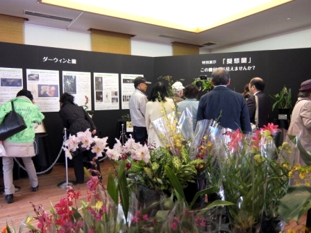 蘭展