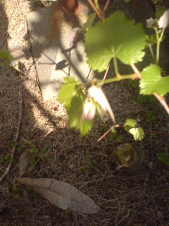 20100428140945.jpg