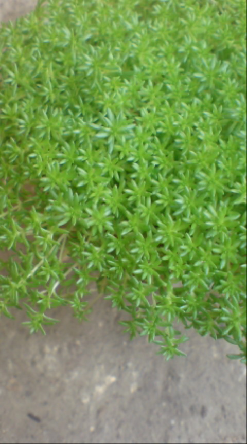 20100428140611.jpg